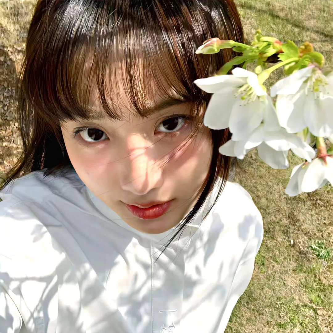 鲨海47:猛鲨出笼